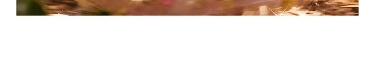 O1CN01mdoZfN1Eg5bCq4u5fcrop025581279214_2220831430380